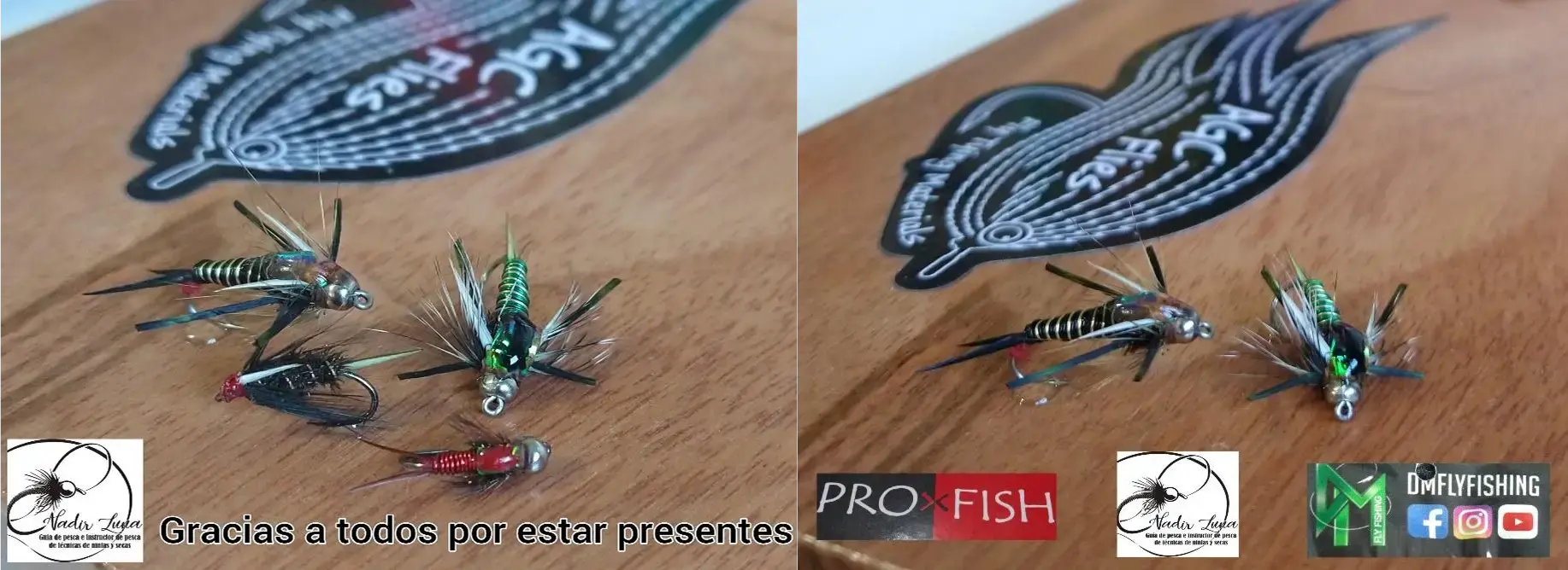 Curso de Atado Módulo 2 - Ninfas Buscadoras y Terrestres