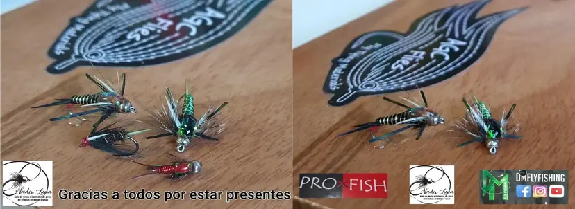 Curso de Atado Módulo 2 - Ninfas Buscadoras y Terrestres