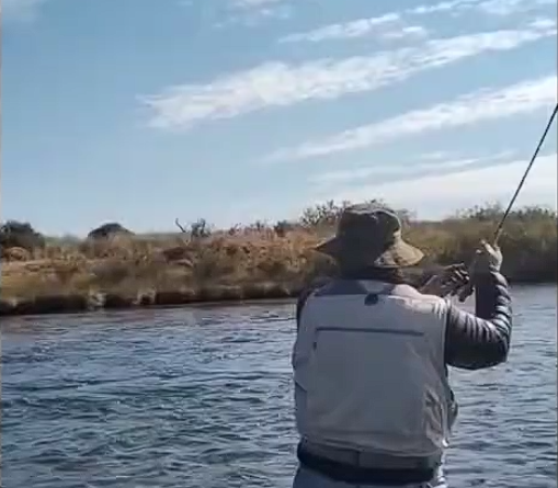 Instrucción Técnica